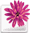 Adobe Illustrator