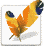 Adobe Imageready
